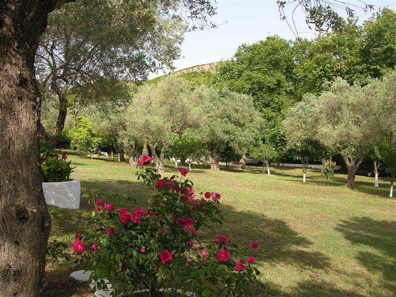 Katerina Apartments ترولو المظهر الخارجي الصورة